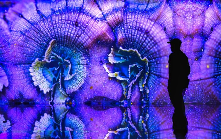 PST ART exhibitions