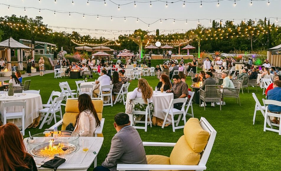 Grand Cinema Under the Stars