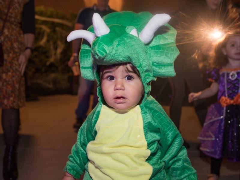 boy in dinosaur costume