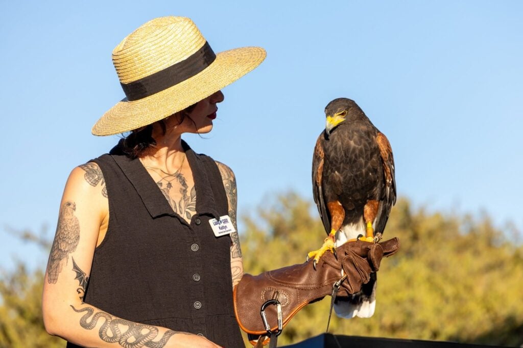The Farm to Bay Fundraiser brings food, drinks, and wildlife encounters to San Diego Bay