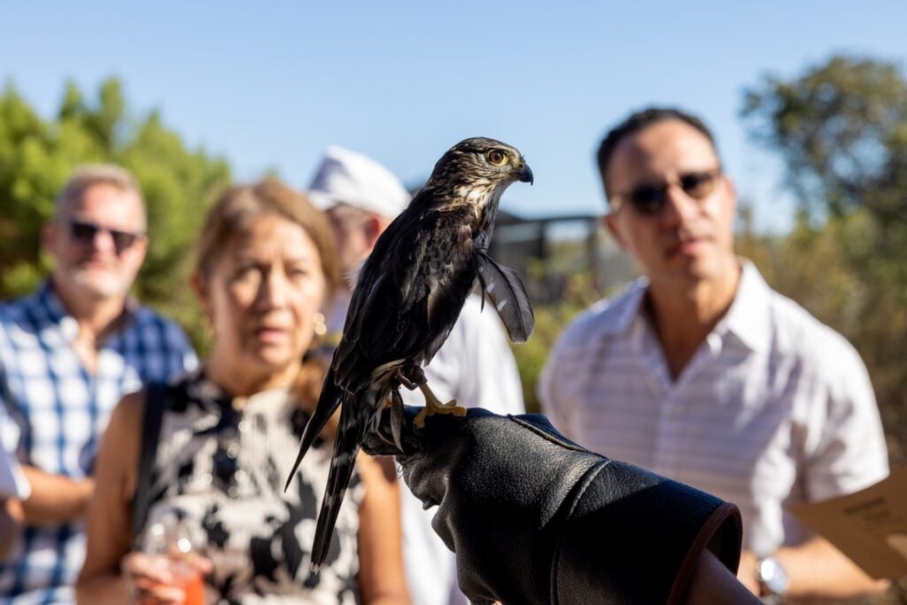 Get up close with animal ambassadors at the Farm to Bay Fundraiser in Chula Vista