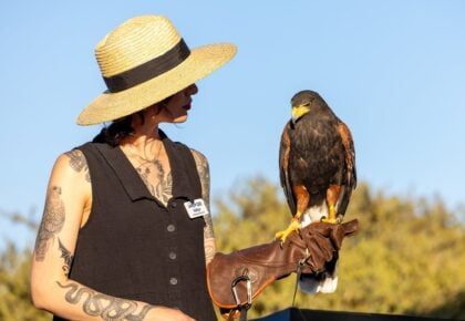 The Farm to Bay Fundraiser brings food, drinks, and wildlife encounters to San Diego Bay