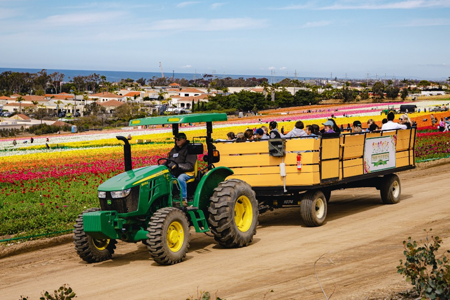 big list of things to do in san diego this weekend