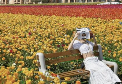 Flower Fields at Carlsbad
