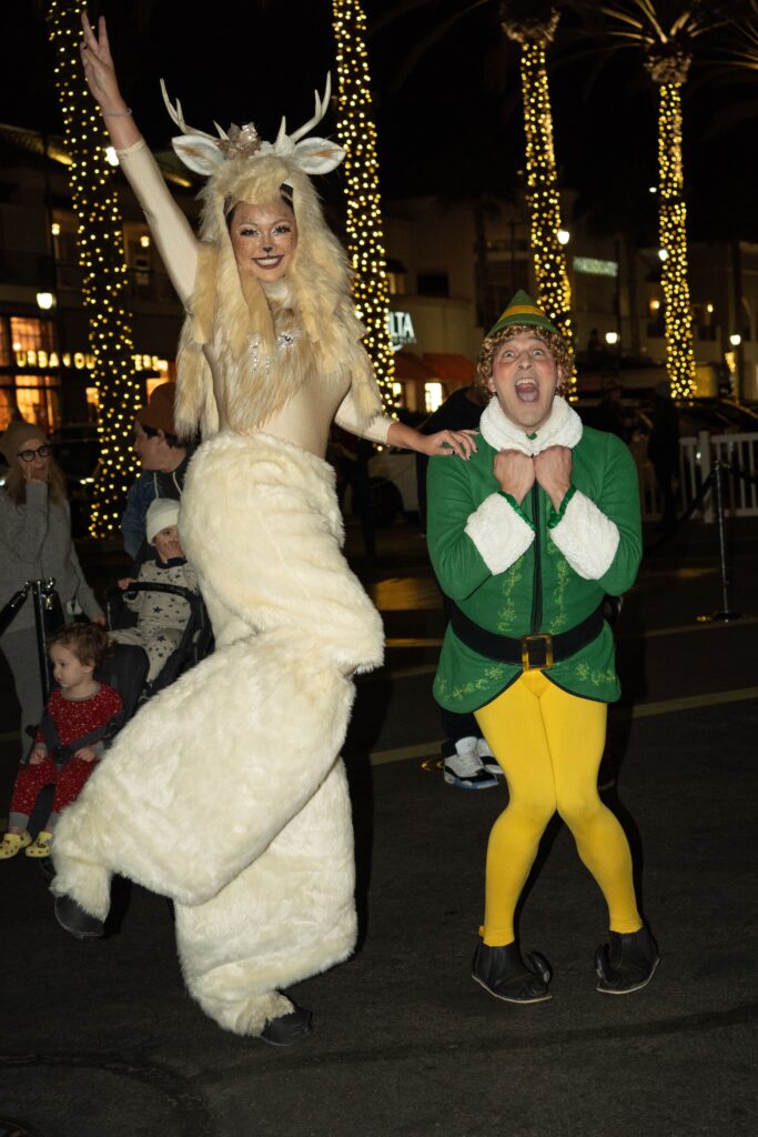 elf and the winter fairy