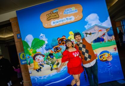 Animal Crossing with Birch Aquarium