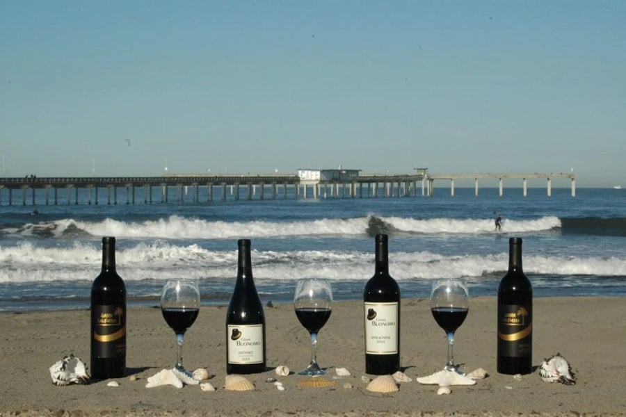 Gianni Buonomo Vintners
