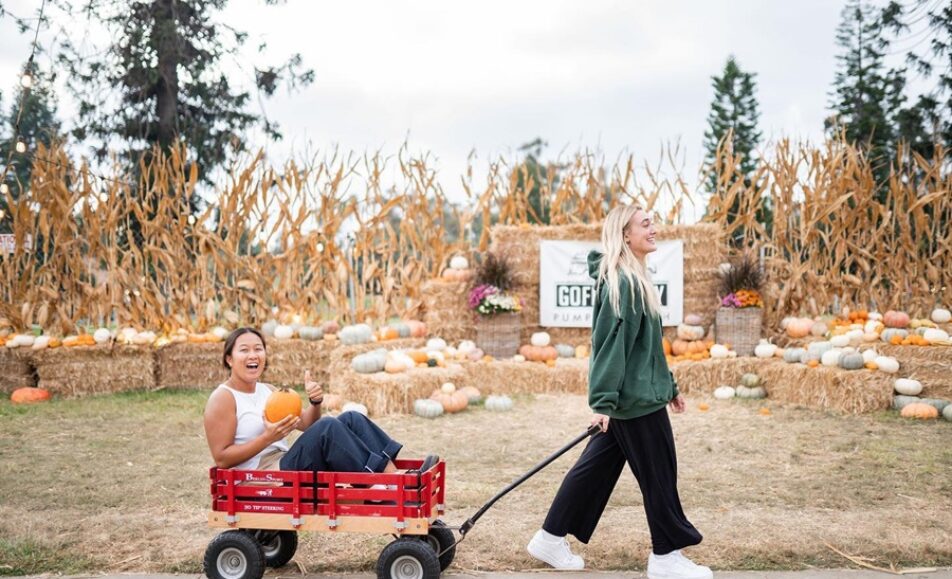 Goff Family Pumpkin Patch