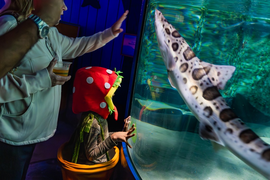 Birch Aquarium