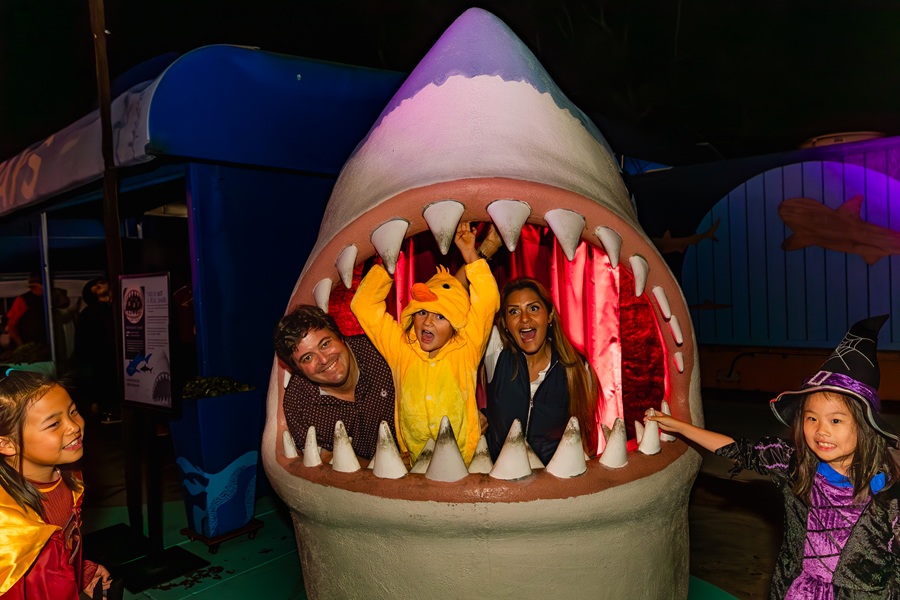Birch Aquarium