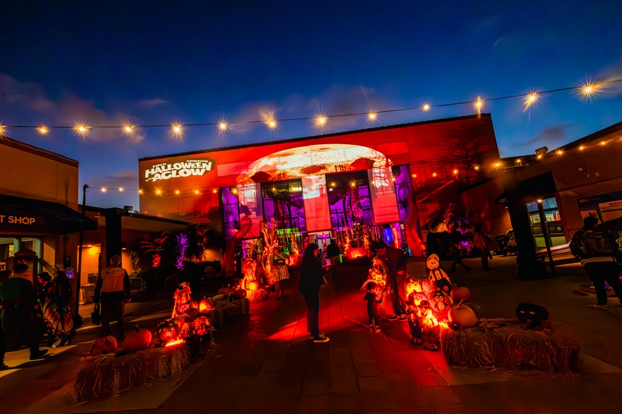 Birch Aquarium Halloween Aglow