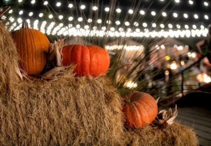 pumpkins