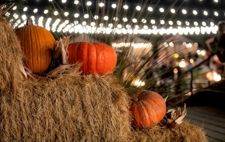 pumpkins
