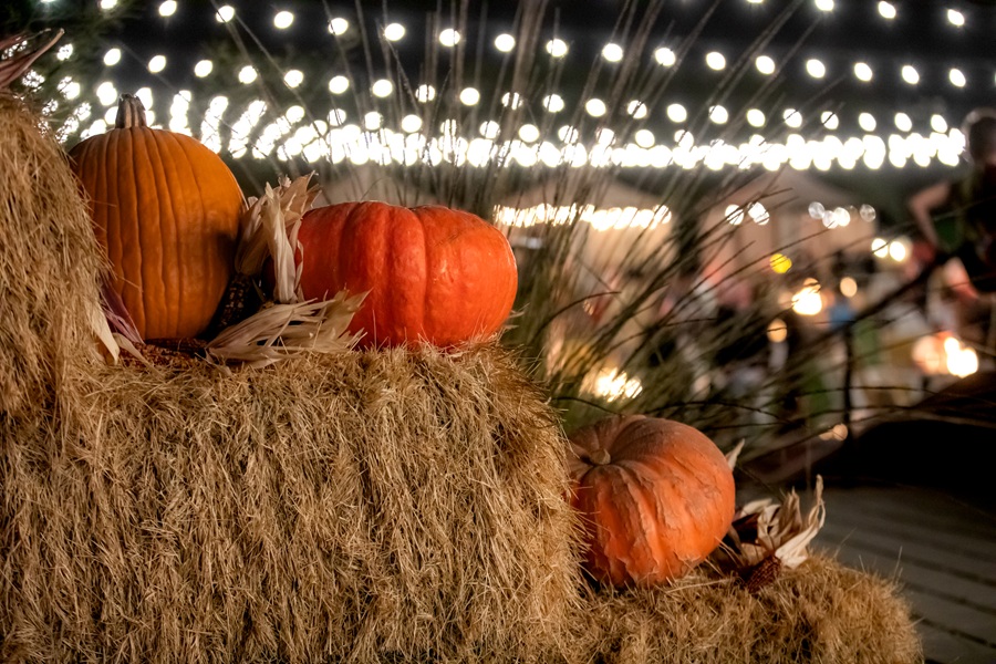 pumpkins
