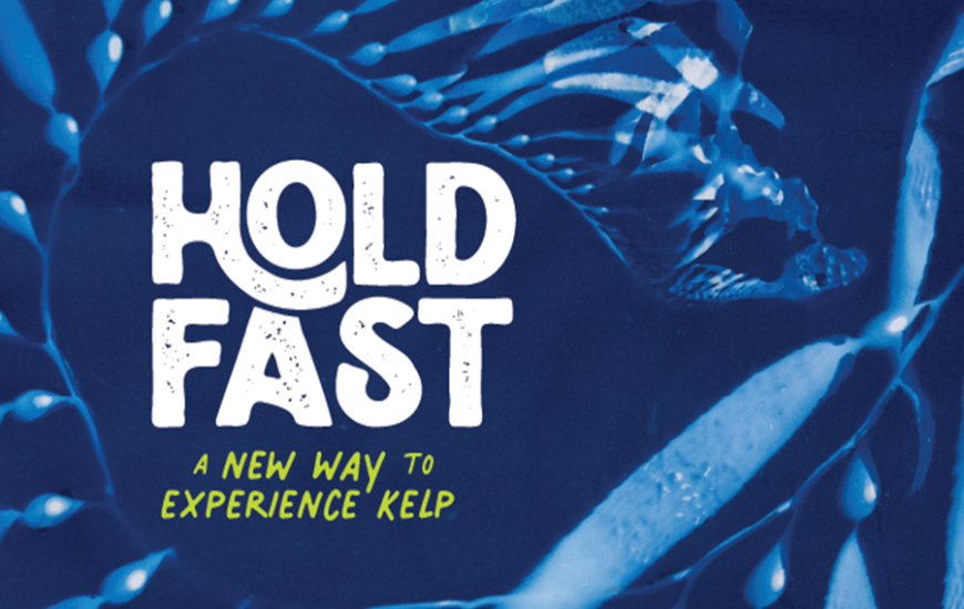 Hold Fast Immersive Art Installation
