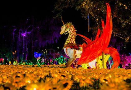 Imaginarium Lights Up San Diego With Magical Wonderland