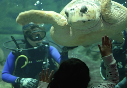 seaworld san diego