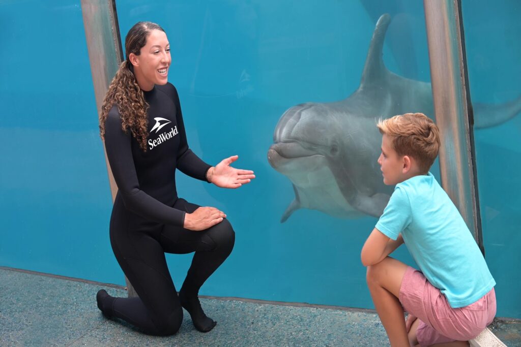 seaword san diego