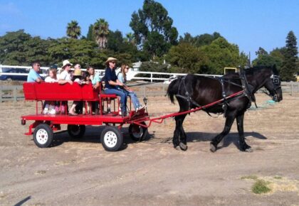 Ivey Ranch Park summer season