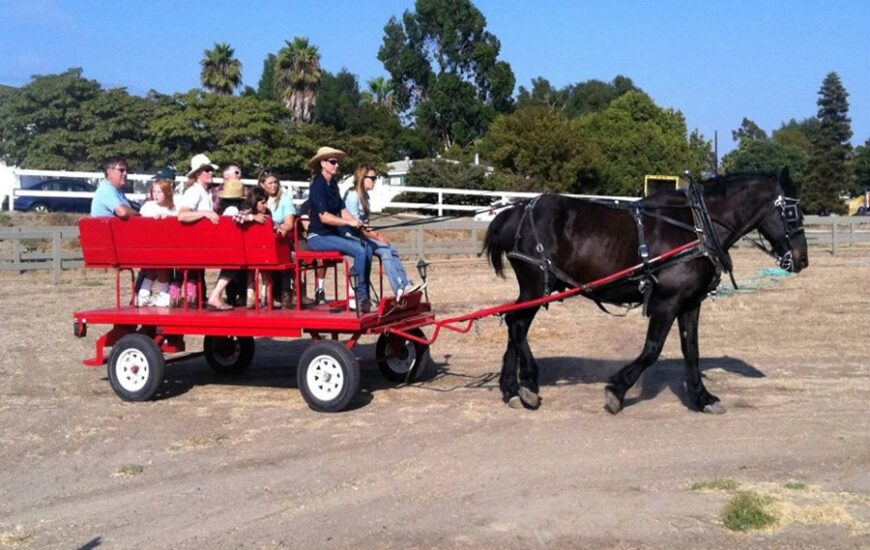 Ivey Ranch Park summer season