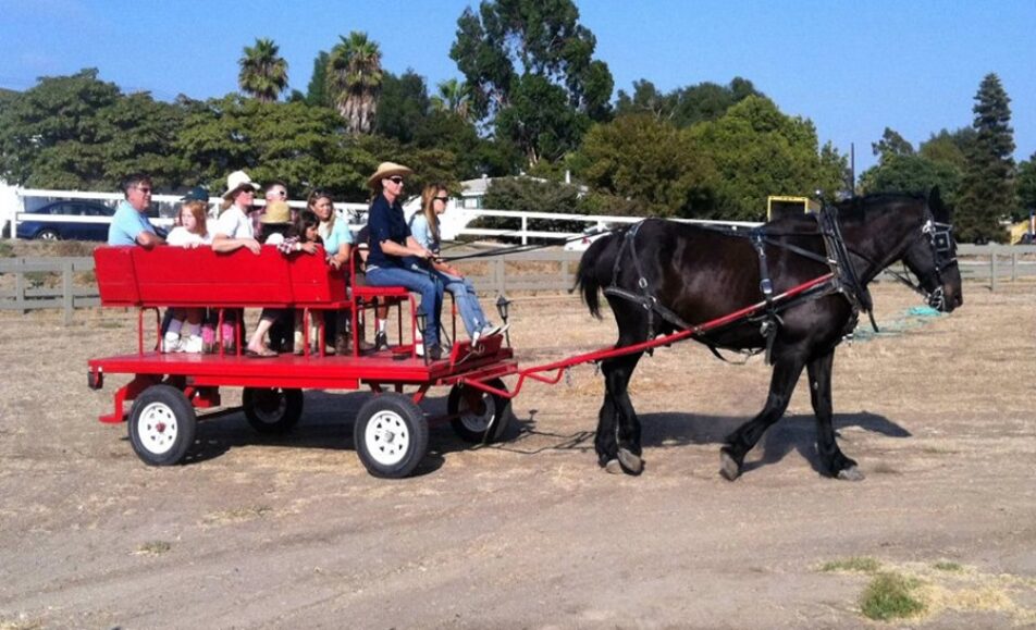 people riding a horse wagon