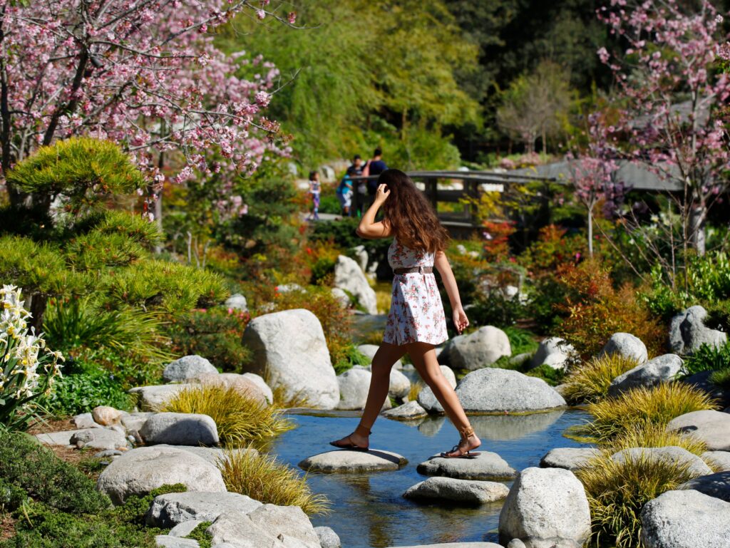 Japanese Friendship Garden and Museum