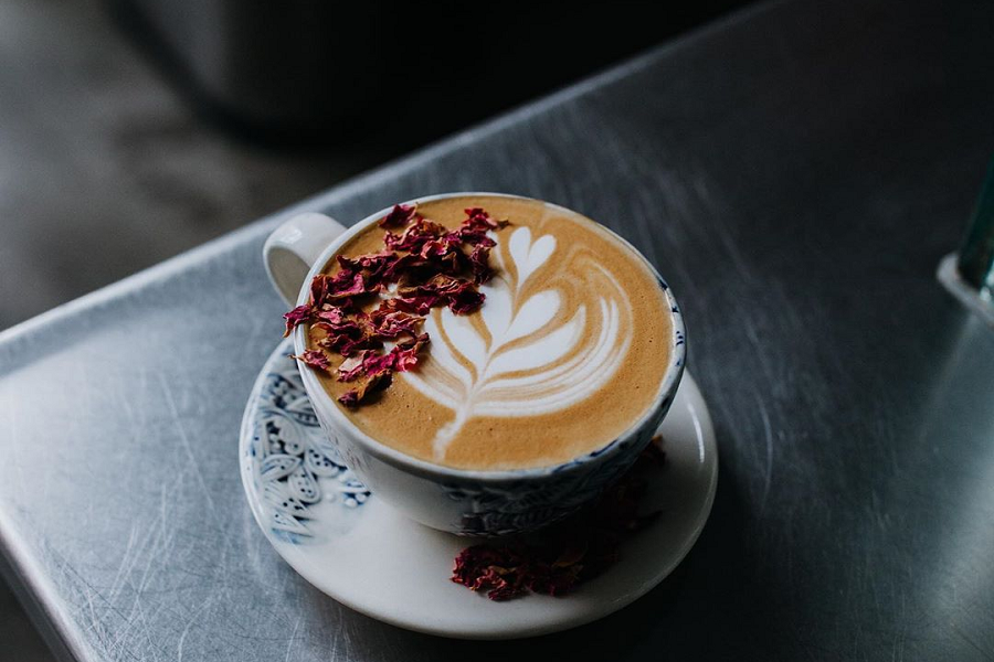 13 Of The Best Coffee Shops In San Diego