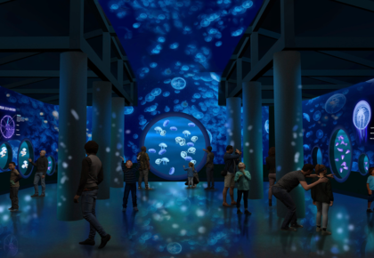 Jewels of the Sea: A Jellyfish Experience