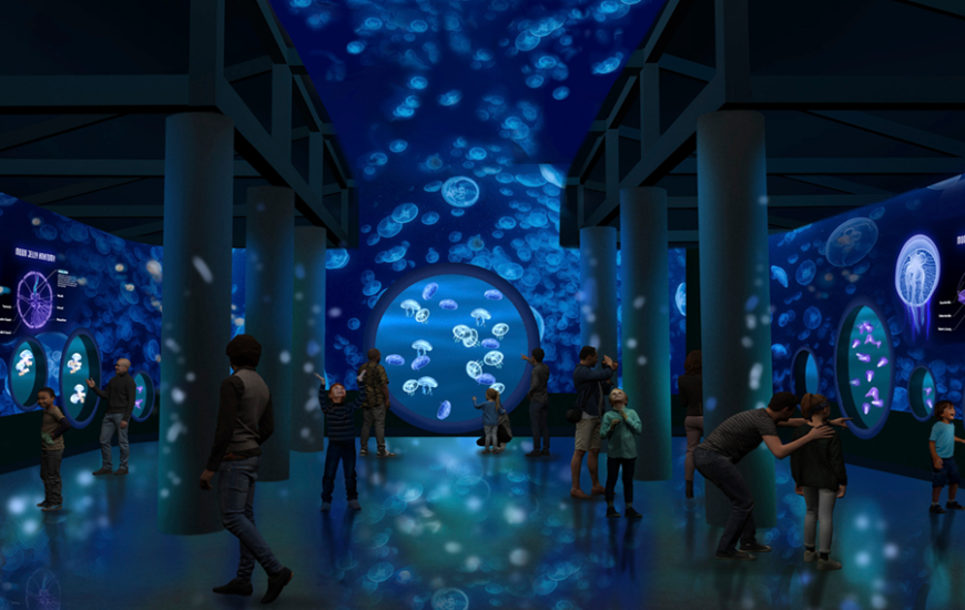 Jewels of the Sea: A Jellyfish Experience