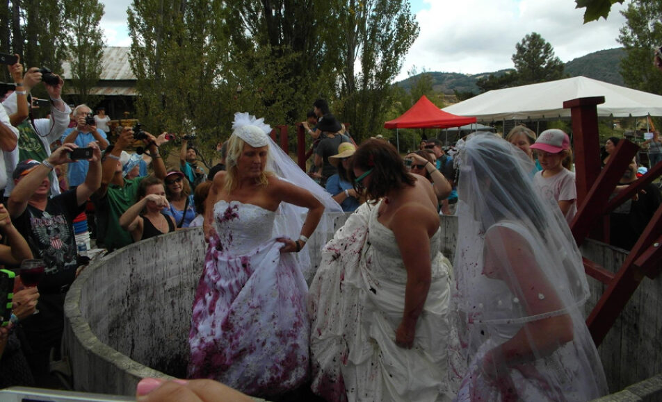 Julian Grape Stomp Festa