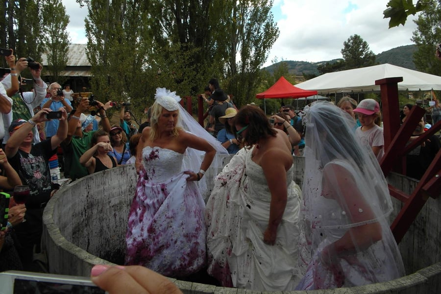 Julian Grape Stomp Festa