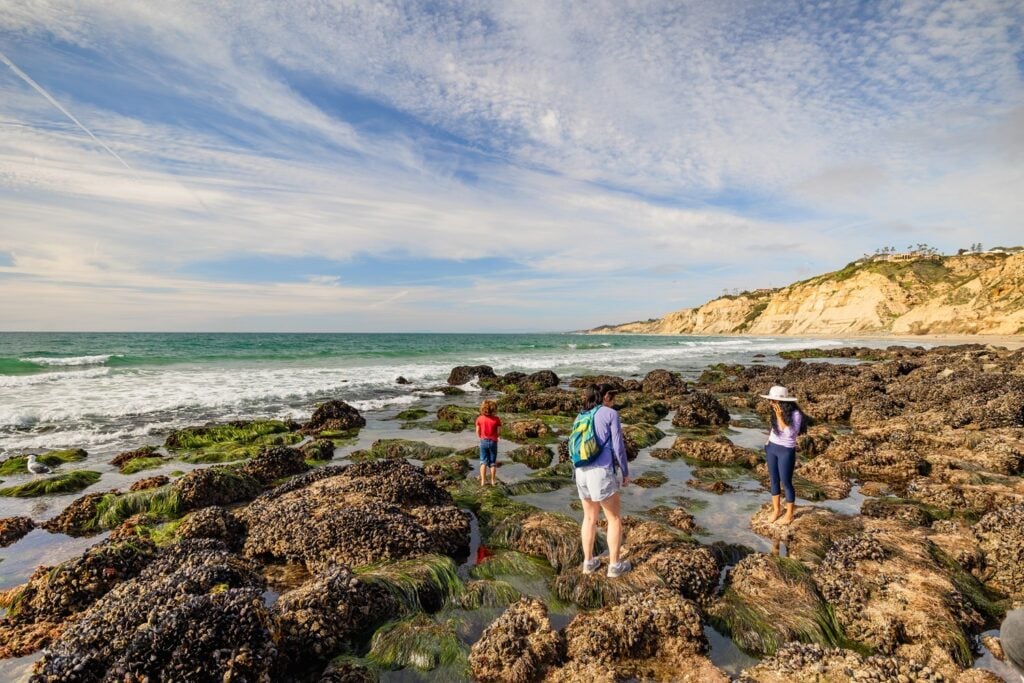 Tidepooling Adventures