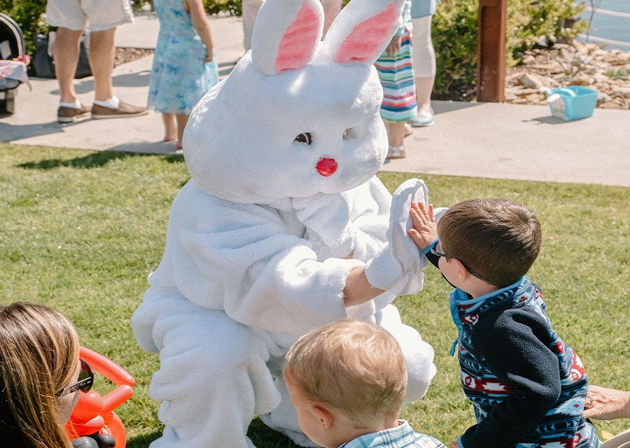Easter Egg Hunts, Easter Bunny Photo Ops And More At These San Diego Spots