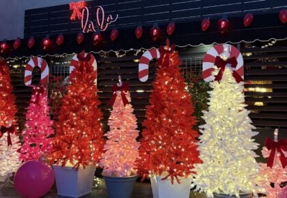 Twinkling lights and décor at Lala's Pink Themed Christmas