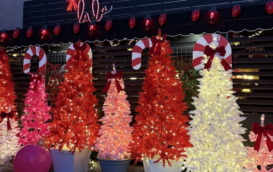 Twinkling lights and décor at Lala's Pink Themed Christmas