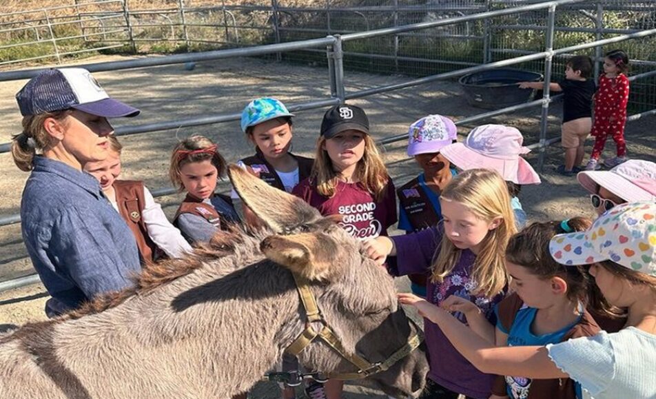 Holiday Bazaar and Fundraiser at Laughing Pony Rescue