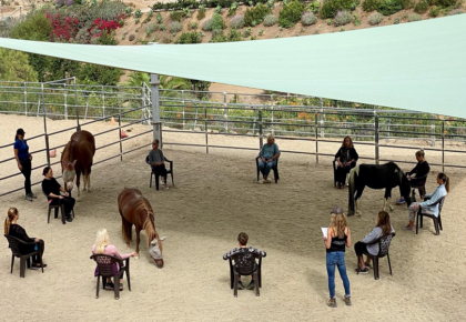 Laughing Pony Rescue Mindfulness And Movement