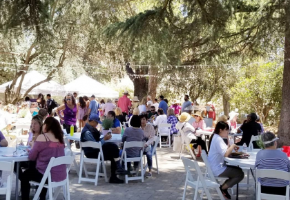 Celebrate The Lavender Harvest Season At The 18th Annual Lavender Festival