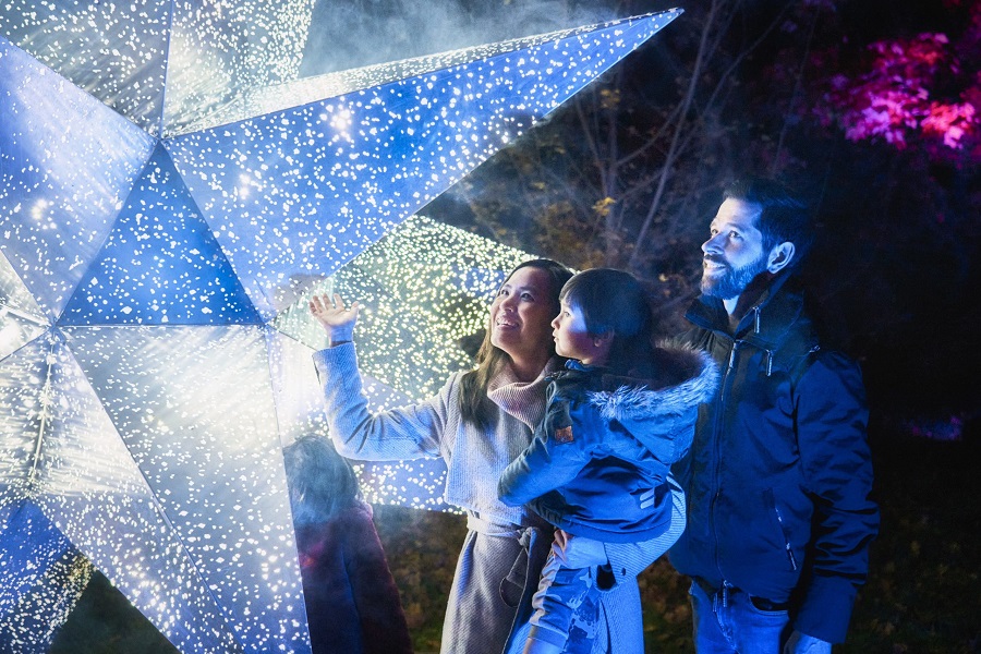 Lightscape at San Diego Botanic Garden