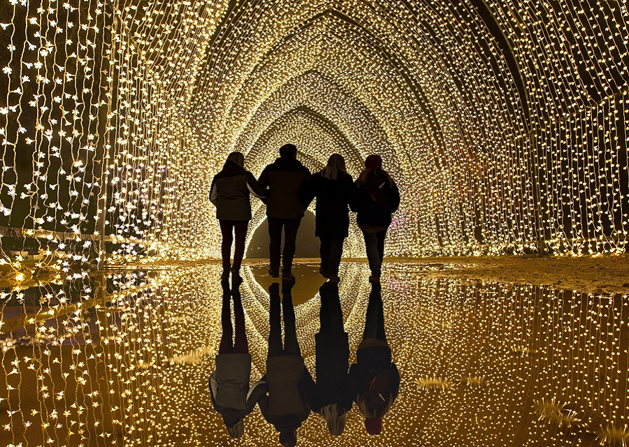 San Diego Botanic Garden