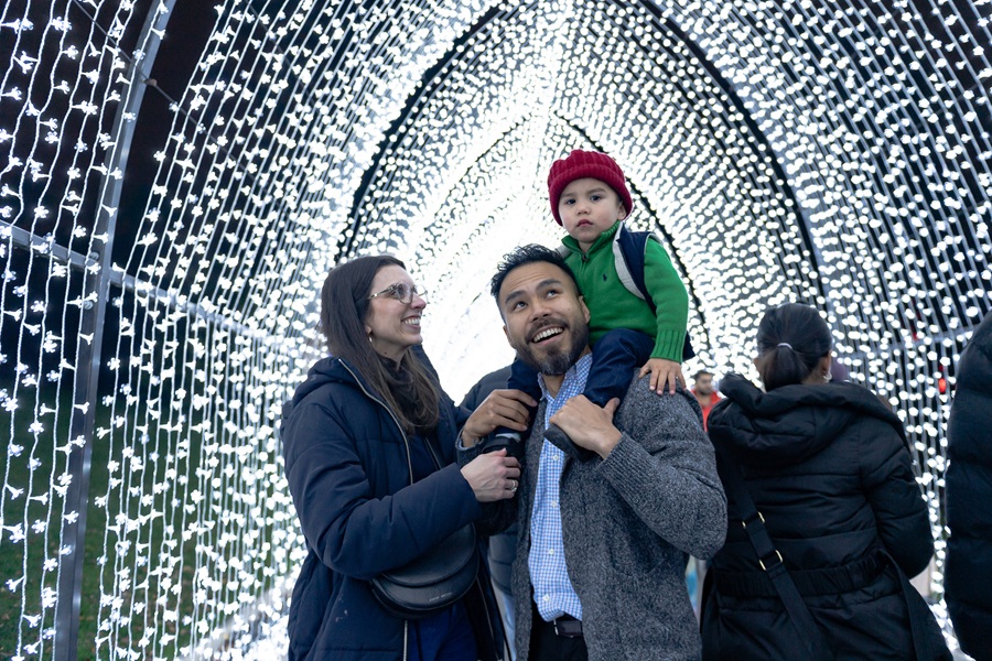 Lightscape at San Diego Botanic Garden