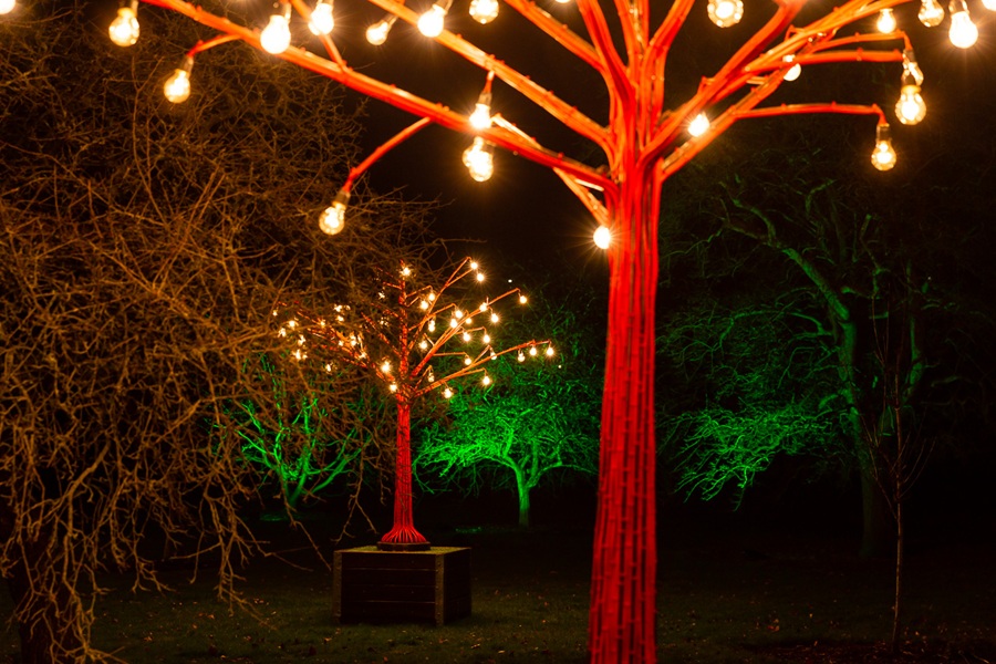 Lightscape