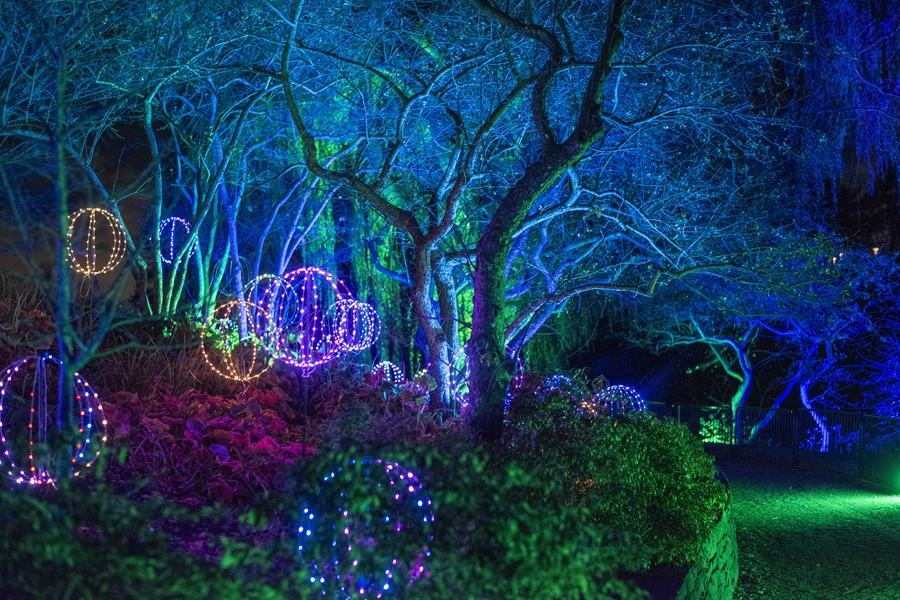san diego botanic garden