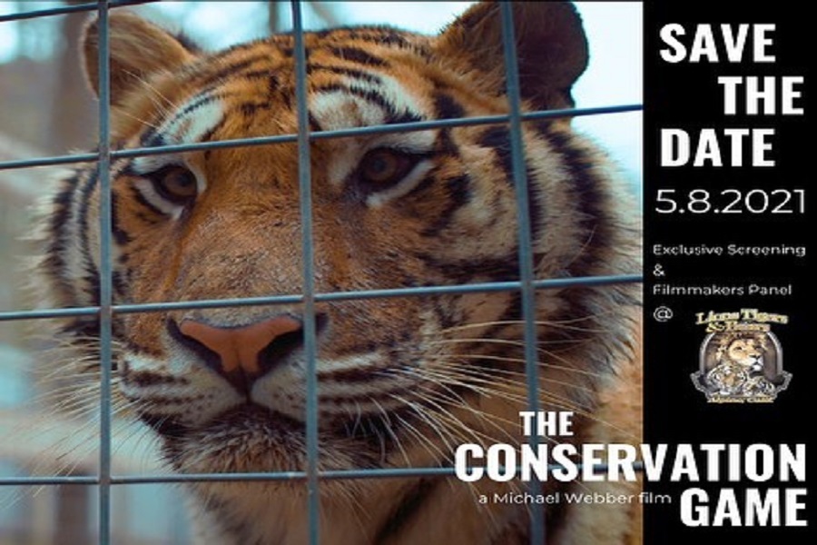 Lions Tigers & Bears - Tickets Now Available! Lions Tigers & Bears is  sponsoring two exclusive screenings of The Conservation Game, a Michael  Webber film - which is not available for viewing