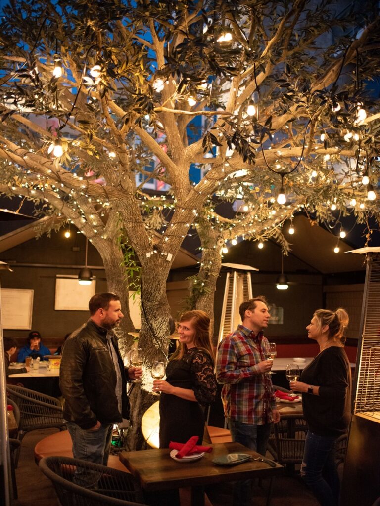 people standing under a tree with lights