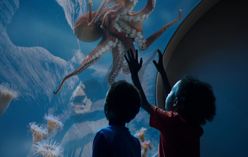 Living Seas exhibition