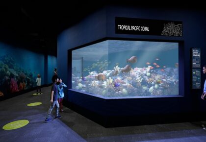 birch aquarium living seas