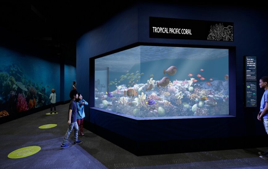 birch aquarium living seas