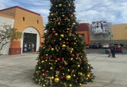 winter wonderland Market Creek Plaza
