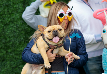 Adoption event at mavericks